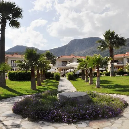 Alinn سَريغيرمه